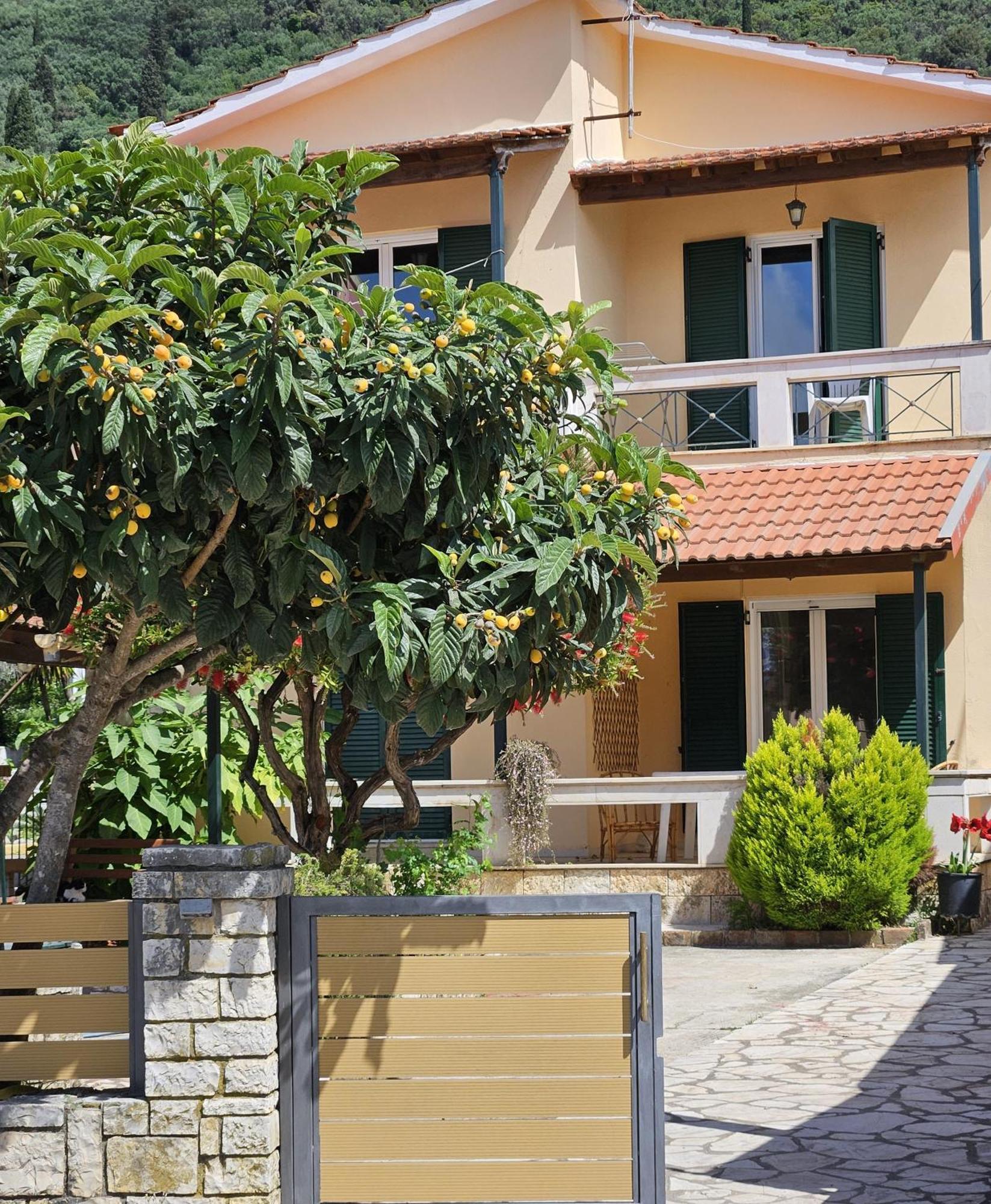 איפסוס Lora Studios מראה חיצוני תמונה